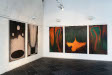 Art House in Opava