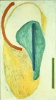 Huile sur toile, 105 x 50 cm